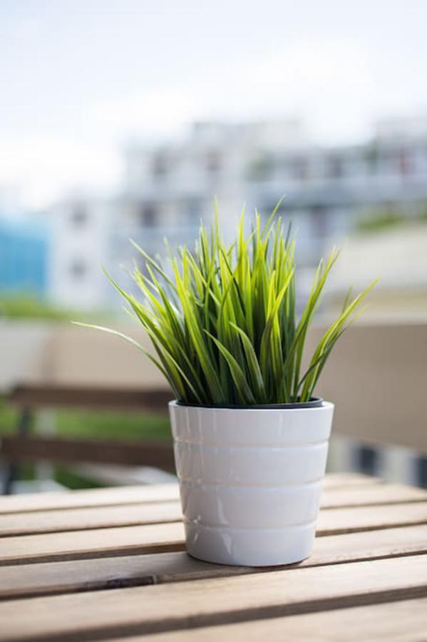 Bright Flat Near The Acropolis By Upstreet Διαμέρισμα Αθήνα Εξωτερικό φωτογραφία